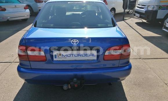 Buy Used Toyota Corolla Blue Car in Butha–Buthe in Thaba-Tseka Buy Used Toyota Corolla Blue Car in Butha–Buthe in Thaba-Tseka