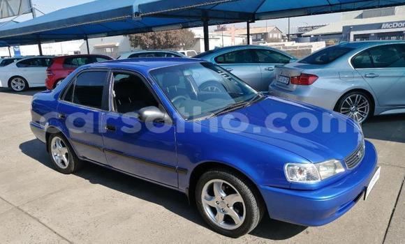 Buy Used Toyota Corolla Blue Car in Butha–Buthe in Thaba-Tseka Buy Used Toyota Corolla Blue Car in Butha–Buthe in Thaba-Tseka
