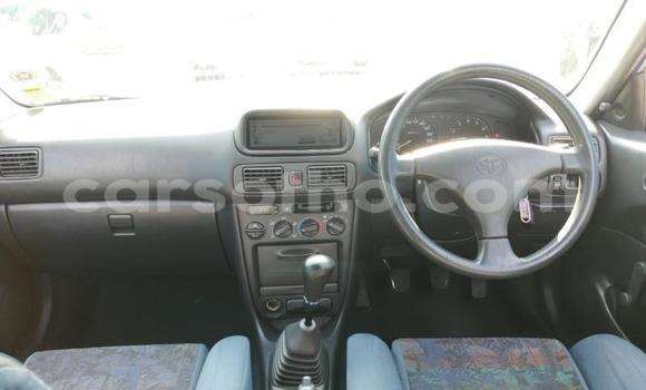 Buy Used Toyota Corolla Blue Car in Butha–Buthe in Thaba-Tseka Buy Used Toyota Corolla Blue Car in Butha–Buthe in Thaba-Tseka