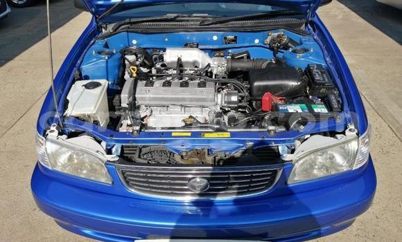 Buy Used Toyota Corolla Blue Car in Butha–Buthe in Thaba-Tseka Buy Used Toyota Corolla Blue Car in Butha–Buthe in Thaba-Tseka