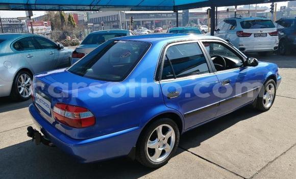 Buy Used Toyota Corolla Blue Car in Butha–Buthe in Thaba-Tseka Buy Used Toyota Corolla Blue Car in Butha–Buthe in Thaba-Tseka