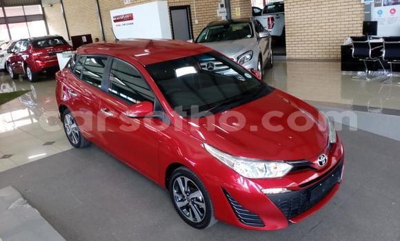 اشتري مستعمل Toyota Yaris Red سيارة في Maseru في Maseru اشتري مستعمل Toyota Yaris Red سيارة في Maseru في Maseru