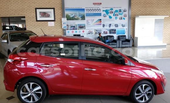 اشتري مستعمل Toyota Yaris Red سيارة في Maseru في Maseru اشتري مستعمل Toyota Yaris Red سيارة في Maseru في Maseru