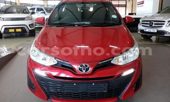اشتري مستعمل Toyota Yaris Red سيارة في Maseru في Maseru اشتري مستعمل Toyota Yaris Red سيارة في Maseru في Maseru