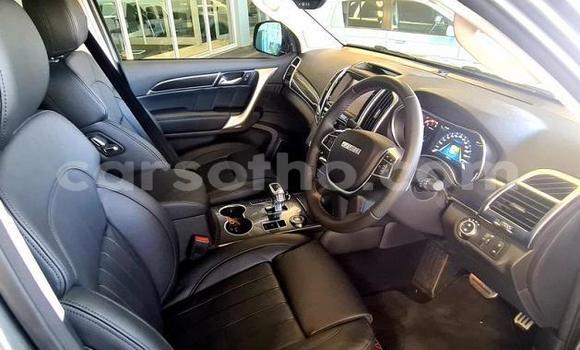 اشتري مستعمل Haval H9 Silver سيارة في Mohale's Hoek في Mohale's Hoek اشتري مستعمل Haval H9 Silver سيارة في Mohale's Hoek في Mohale's Hoek