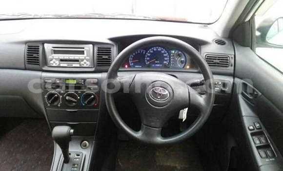 اشتري مستعمل Toyota Allex White سيارة في Maseru في Maseru اشتري مستعمل Toyota Allex White سيارة في Maseru في Maseru