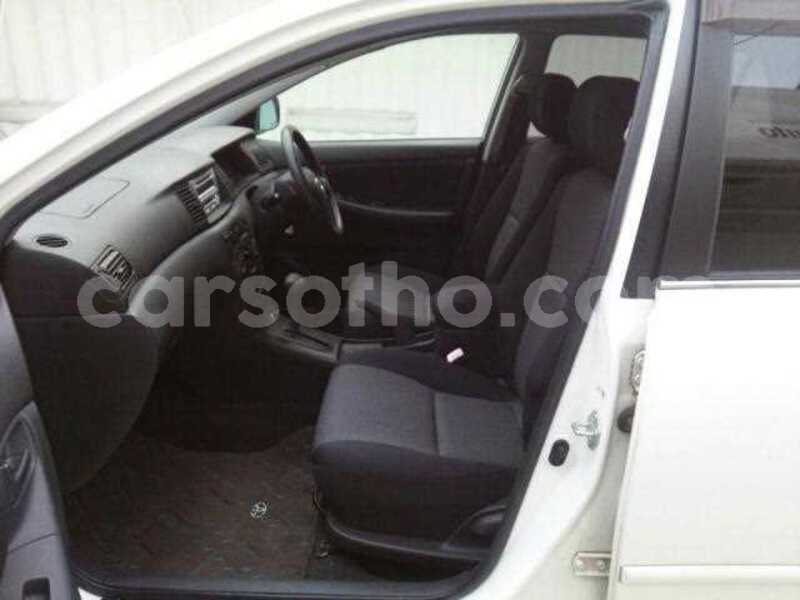 Big with watermark 2004 toyota corolla runx 2