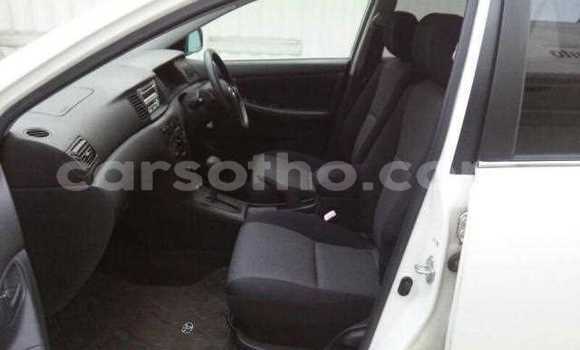 اشتري مستعمل Toyota Allex White سيارة في Maseru في Maseru اشتري مستعمل Toyota Allex White سيارة في Maseru في Maseru