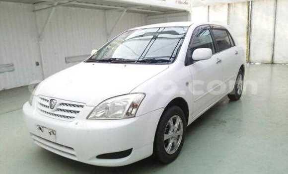 اشتري مستعمل Toyota Allex White سيارة في Maseru في Maseru اشتري مستعمل Toyota Allex White سيارة في Maseru في Maseru
