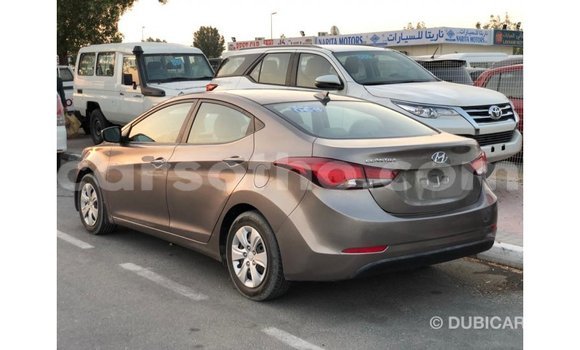 اشتري Imported Hyundai Elantra Brown سيارة في Import - Dubai في Maseru اشتري Imported Hyundai Elantra Brown سيارة في Import - Dubai في Maseru