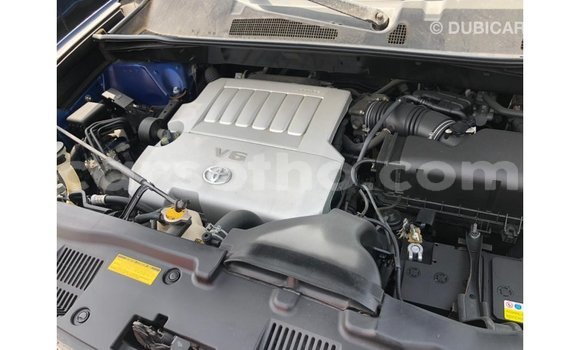 Acheter Import Voiture Toyota Highlander Bleu à Import - Dubai, Maseru Acheter Import Voiture Toyota Highlander Bleu à Import - Dubai, Maseru