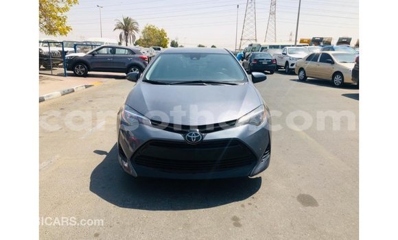 اشتري Imported Toyota Corolla Other سيارة في Import - Dubai في Maseru اشتري Imported Toyota Corolla Other سيارة في Import - Dubai في Maseru