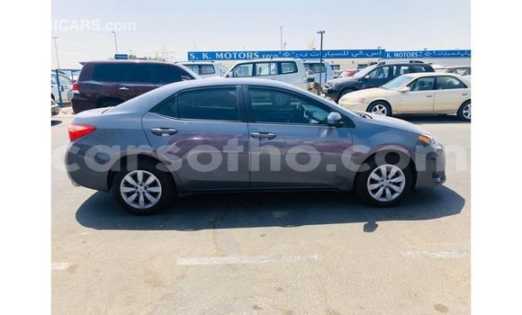 اشتري Imported Toyota Corolla Other سيارة في Import - Dubai في Maseru اشتري Imported Toyota Corolla Other سيارة في Import - Dubai في Maseru