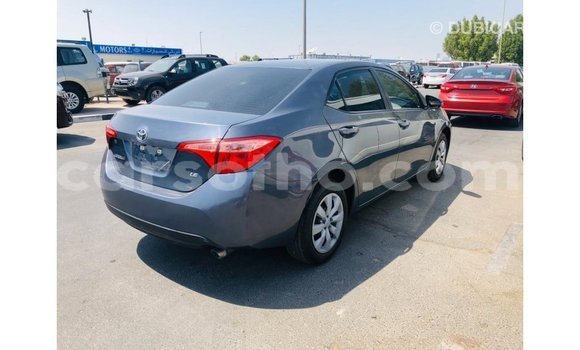 اشتري Imported Toyota Corolla Other سيارة في Import - Dubai في Maseru اشتري Imported Toyota Corolla Other سيارة في Import - Dubai في Maseru