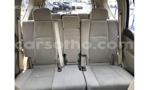 اشتري Imported Toyota Prado Brown سيارة في Import - Dubai في Maseru اشتري Imported Toyota Prado Brown سيارة في Import - Dubai في Maseru