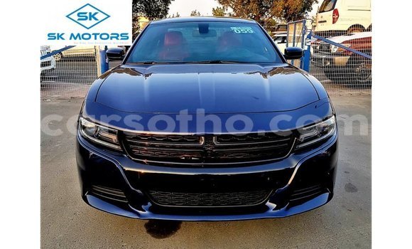 Sayi Imported Dodge Charger Blue Mota in Import - Dubai a Maseru