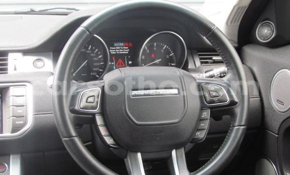 اشتري مستعمل Land Rover Range Rover Evoque White سيارة في Butha Buthe في Butha-Buthe اشتري مستعمل Land Rover Range Rover Evoque White سيارة في Butha Buthe في Butha-Buthe