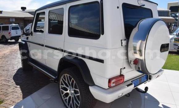 اشتري مستعمل Mercedes-Benz G-klasse White سيارة في Maseru في Maseru اشتري مستعمل Mercedes-Benz G-klasse White سيارة في Maseru في Maseru