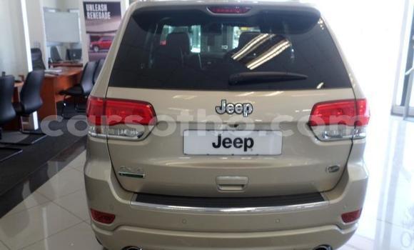 اشتري مستعمل Jeep Grand Cherokee Other سيارة في Roma في Maseru اشتري مستعمل Jeep Grand Cherokee Other سيارة في Roma في Maseru