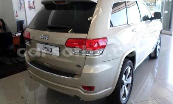 اشتري مستعمل Jeep Grand Cherokee Other سيارة في Roma في Maseru اشتري مستعمل Jeep Grand Cherokee Other سيارة في Roma في Maseru