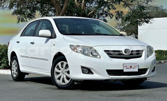 Buy Import Toyota Corolla White Car in Import - Dubai in Maseru Buy Import Toyota Corolla White Car in Import - Dubai in Maseru