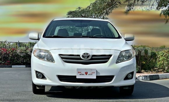 Buy Import Toyota Corolla White Car in Import - Dubai in Maseru Buy Import Toyota Corolla White Car in Import - Dubai in Maseru