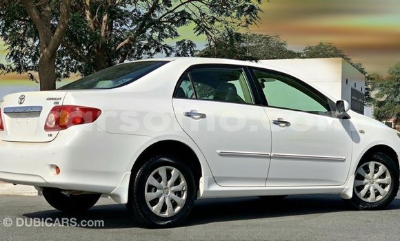 Buy Import Toyota Corolla White Car in Import - Dubai in Maseru Buy Import Toyota Corolla White Car in Import - Dubai in Maseru