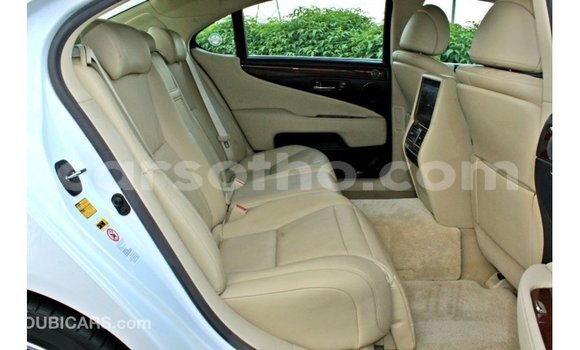 Sayi Imported Lexus LS White Mota in Import - Dubai a Maseru Sayi Imported Lexus LS White Mota in Import - Dubai a Maseru