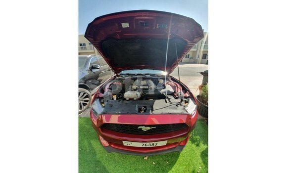 Sayi Imported Ford Mustang Red Mota in Import - Dubai a Maseru Sayi Imported Ford Mustang Red Mota in Import - Dubai a Maseru