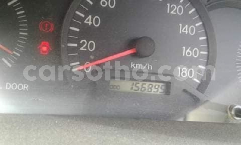 Big with watermark 54515642 10157254459994874 3232652150886629376 n