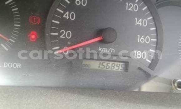 Buy Used Toyota Corolla White Car in Maseru in Maseru Buy Used Toyota Corolla White Car in Maseru in Maseru