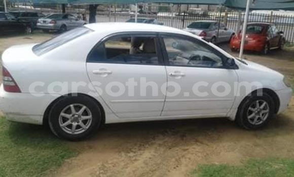 Buy Used Toyota Corolla White Car in Maseru in Maseru Buy Used Toyota Corolla White Car in Maseru in Maseru