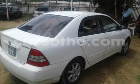 Buy Used Toyota Corolla White Car in Maseru in Maseru Buy Used Toyota Corolla White Car in Maseru in Maseru