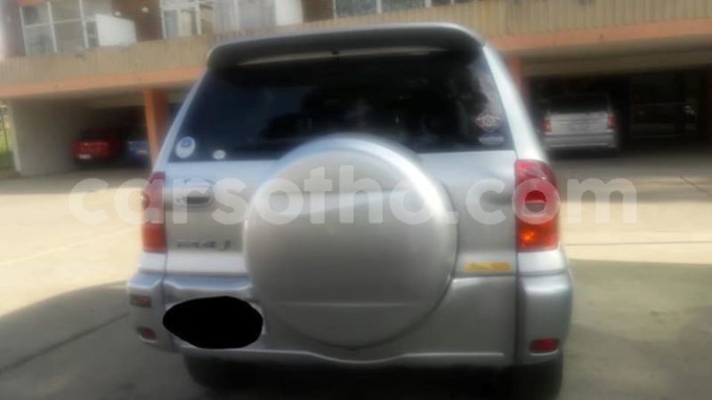 Big with watermark 53006826 10157203834714874 4708589654675292160 n