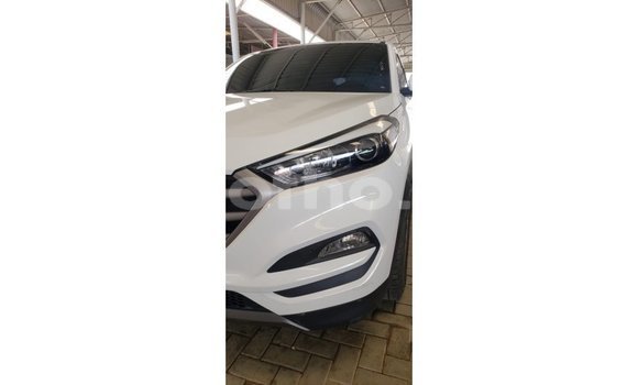 Sayi Imported Hyundai Tucson White Mota in Import - Dubai a Maseru Sayi Imported Hyundai Tucson White Mota in Import - Dubai a Maseru
