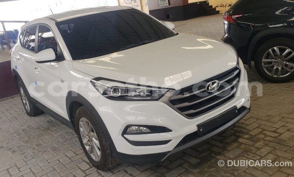 Sayi Imported Hyundai Tucson White Mota in Import - Dubai a Maseru Sayi Imported Hyundai Tucson White Mota in Import - Dubai a Maseru