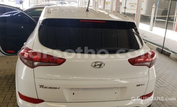 Sayi Imported Hyundai Tucson White Mota in Import - Dubai a Maseru Sayi Imported Hyundai Tucson White Mota in Import - Dubai a Maseru