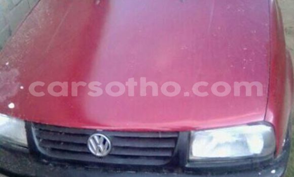 Buy Used Volkswagen Jetta Red Car in Maseru in Maseru Buy Used Volkswagen Jetta Red Car in Maseru in Maseru
