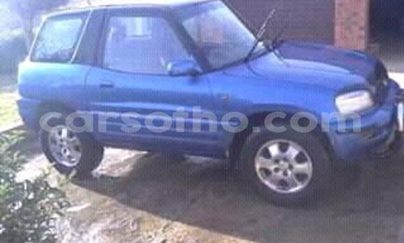 Buy Used Toyota RAV4 Blue Car in Maseru in Maseru Buy Used Toyota RAV4 Blue Car in Maseru in Maseru