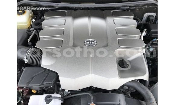 Buy Import Toyota Land Cruiser Red Car in Import - Dubai in Maseru Buy Import Toyota Land Cruiser Red Car in Import - Dubai in Maseru