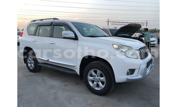 Sayi Imported Toyota Prado White Mota in Import - Dubai a Maseru Sayi Imported Toyota Prado White Mota in Import - Dubai a Maseru