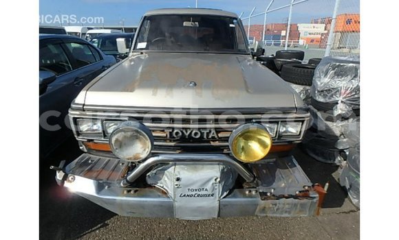 اشتري Imported Toyota Land Cruiser Other سيارة في Import - Dubai في Maseru اشتري Imported Toyota Land Cruiser Other سيارة في Import - Dubai في Maseru