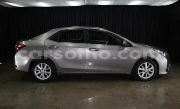 Buy Used Toyota Corolla Other Car in Butha–Buthe in Thaba-Tseka Buy Used Toyota Corolla Other Car in Butha–Buthe in Thaba-Tseka