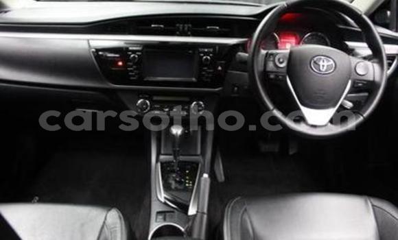 Buy Used Toyota Corolla Other Car in Butha–Buthe in Thaba-Tseka Buy Used Toyota Corolla Other Car in Butha–Buthe in Thaba-Tseka