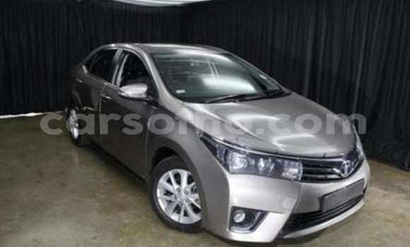 Buy Used Toyota Corolla Other Car in Butha–Buthe in Thaba-Tseka Buy Used Toyota Corolla Other Car in Butha–Buthe in Thaba-Tseka