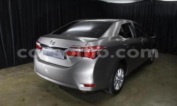 Buy Used Toyota Corolla Other Car in Butha–Buthe in Thaba-Tseka Buy Used Toyota Corolla Other Car in Butha–Buthe in Thaba-Tseka