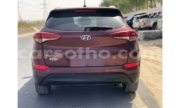 Acheter Import Voiture Hyundai Tucson Rouge à Import - Dubai, Maseru Acheter Import Voiture Hyundai Tucson Rouge à Import - Dubai, Maseru