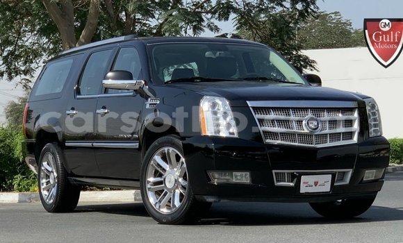 Sayi Imported Cadillac Escalade Black Mota in Import - Dubai a Maseru