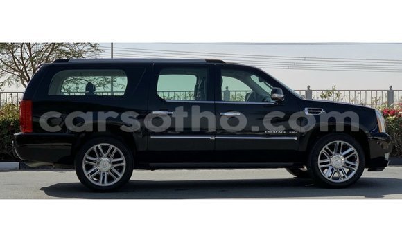 Sayi Imported Cadillac Escalade Black Mota in Import - Dubai a Maseru Sayi Imported Cadillac Escalade Black Mota in Import - Dubai a Maseru