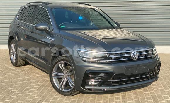 اشتري مستعمل Volkswagen Tiguan Green سيارة في Maseru في Maseru اشتري مستعمل Volkswagen Tiguan Green سيارة في Maseru في Maseru